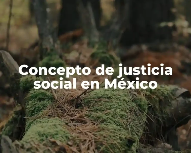 Concepto de justicia social en México