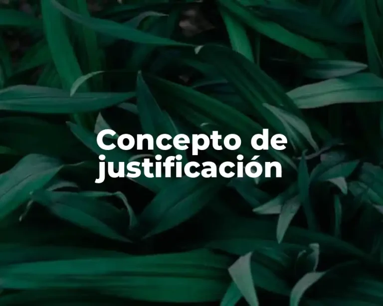 Concepto de justificación