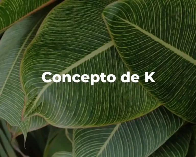 Concepto de K