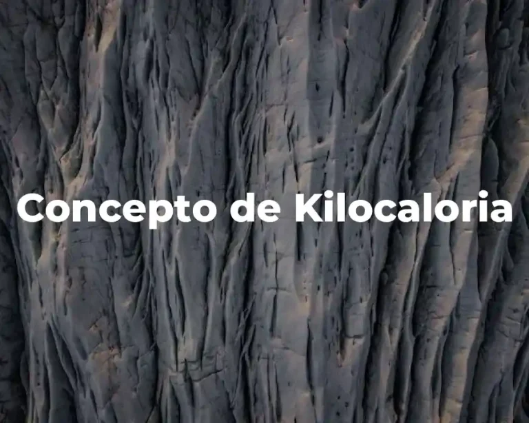 Concepto de Kilocaloria