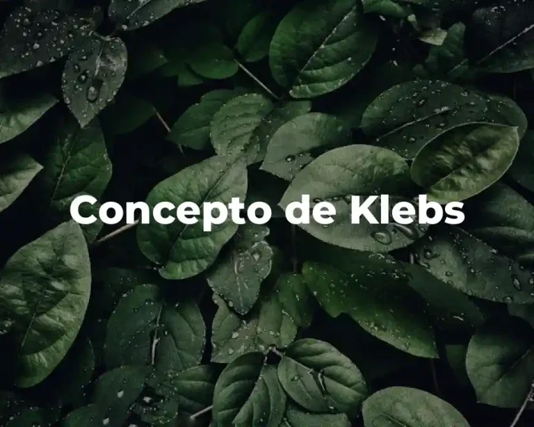 Concepto de Klebs
