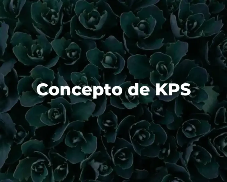Concepto de KPS