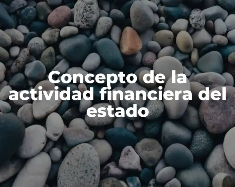 Concepto de la actividad financiera del estado