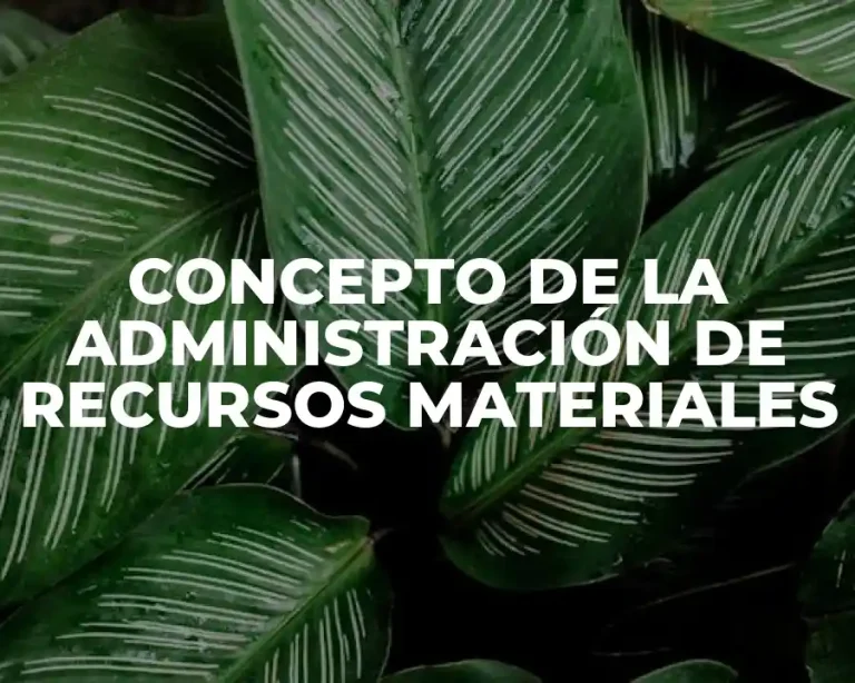 CONCEPTO DE LA ADMINISTRACIÓN DE RECURSOS MATERIALES