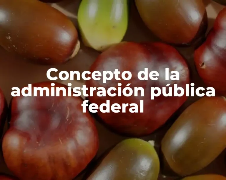 Concepto de la administración pública federal