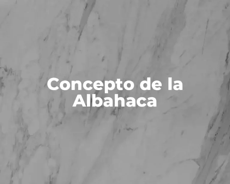 Concepto de la Albahaca
