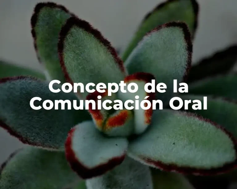 Concepto de la Comunicación Oral