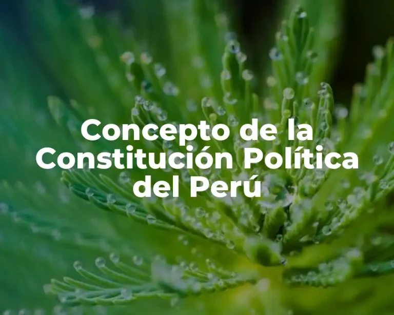 Concepto de la Constitución Política del Perú