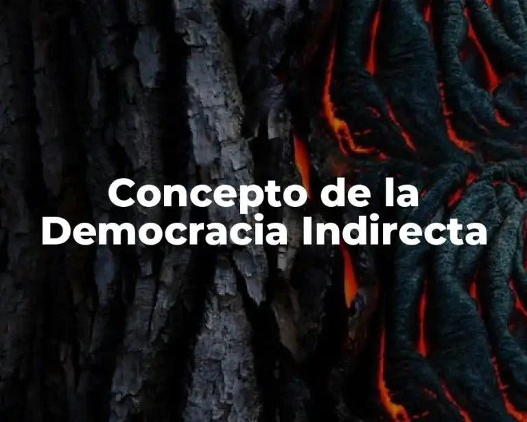 Concepto de la Democracia Indirecta
