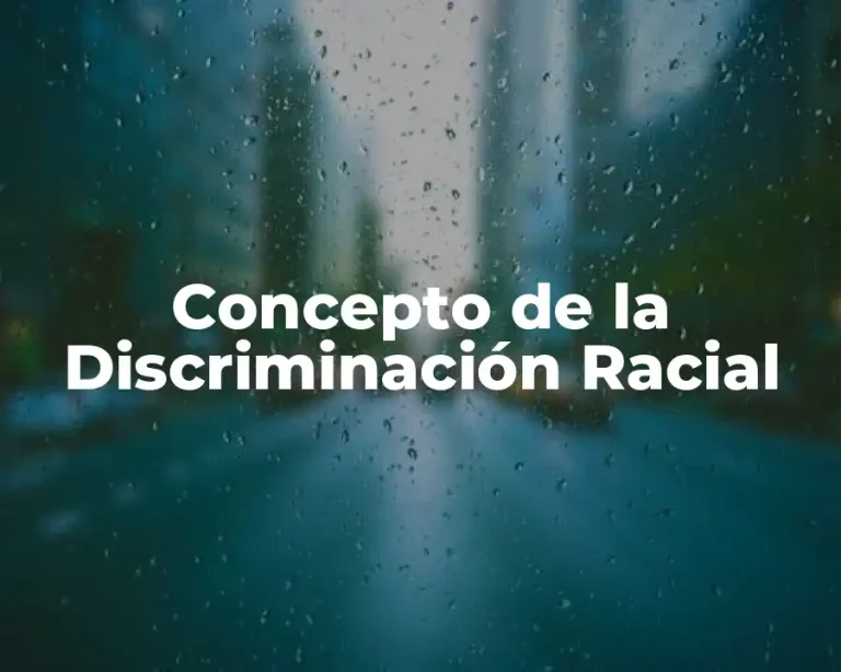 Concepto de la Discriminación Racial