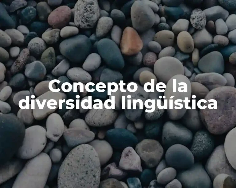 Concepto de la diversidad lingüística