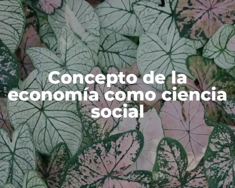 Concepto de la economía como ciencia social