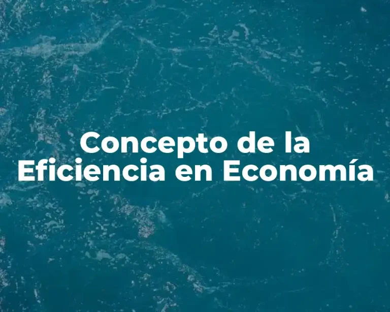Concepto de la Eficiencia en Economía