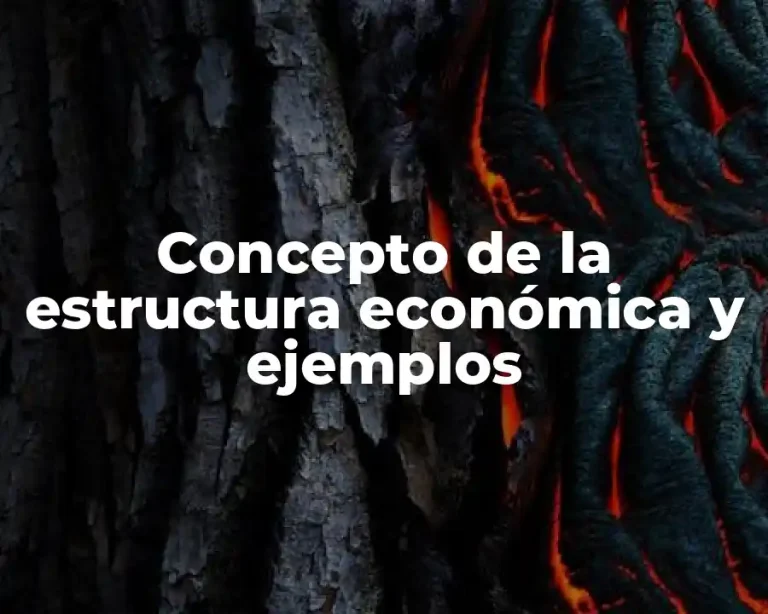 Concepto de la estructura económica y ejemplos