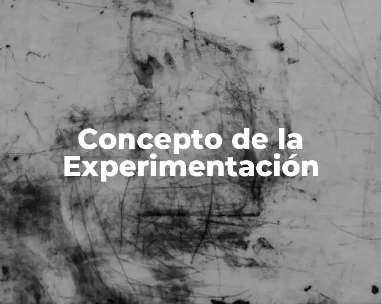 Concepto de la Experimentación