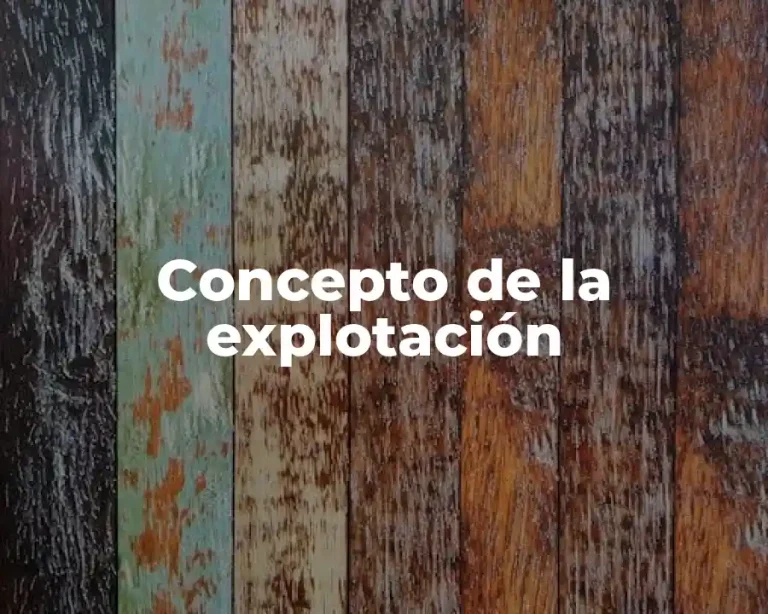 Concepto de la explotación