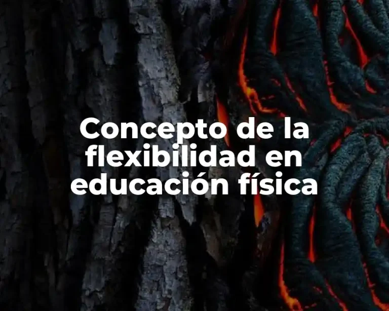 Concepto de la flexibilidad en educación física