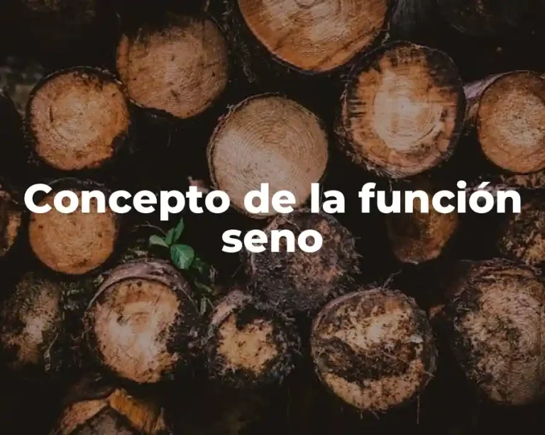 Concepto de la función seno