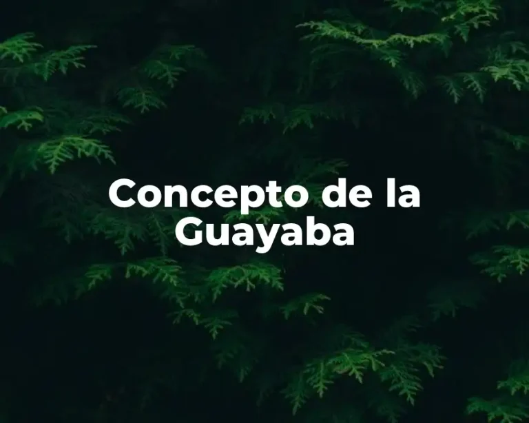 Concepto de la Guayaba