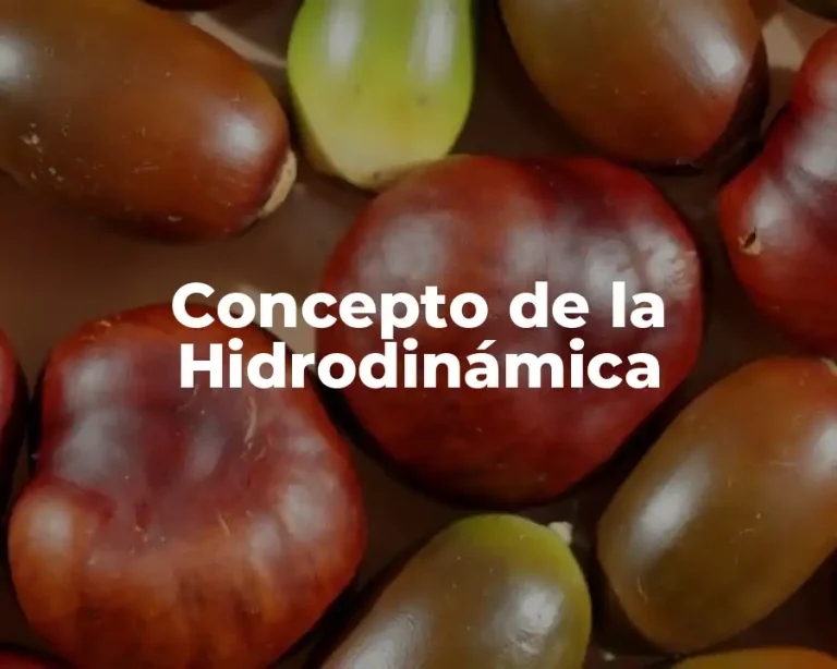 Concepto de la Hidrodinámica
