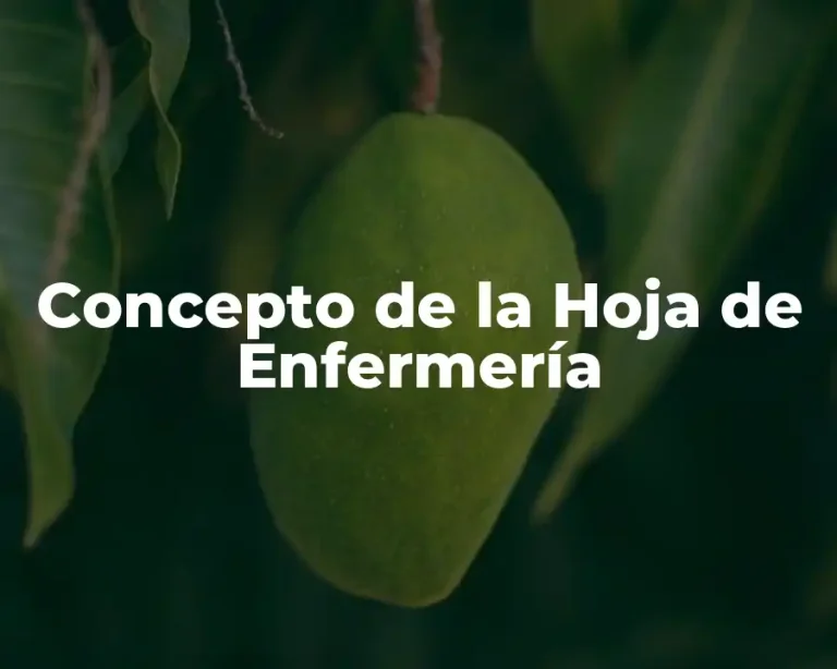 Concepto de la Hoja de Enfermería