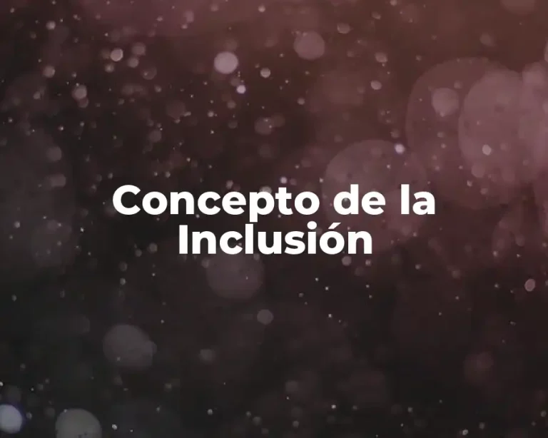Concepto de la Inclusión