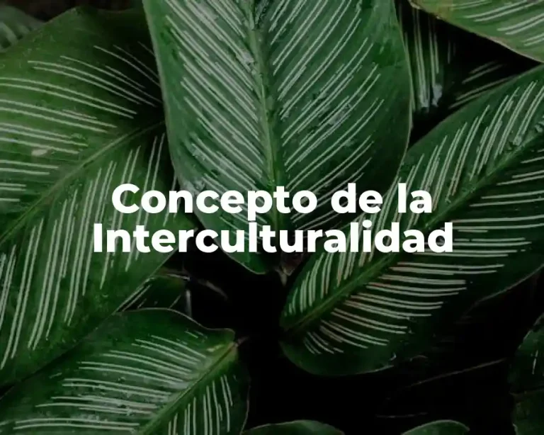 Concepto de la Interculturalidad