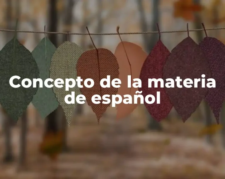 Concepto de la materia de español