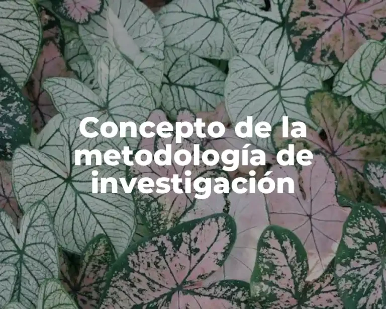 Concepto de la metodología de investigación