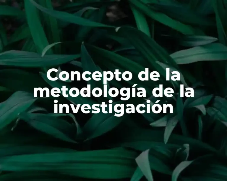 Concepto de la metodología de la investigación