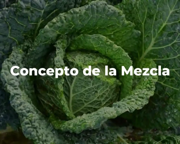 Concepto de la Mezcla