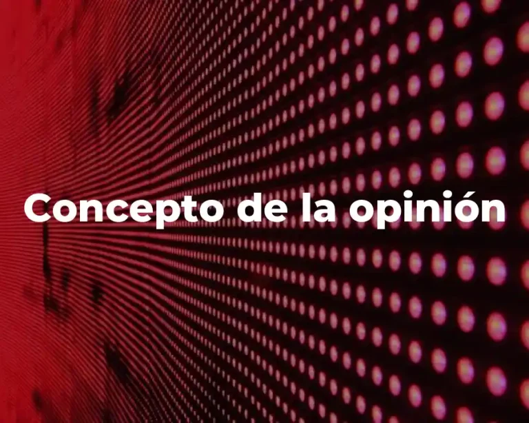 Concepto de la opinión