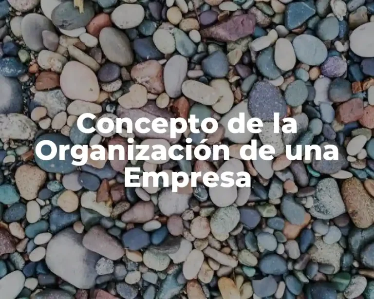 Concepto de la Organización de una Empresa