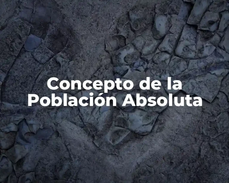 Concepto de la Población Absoluta