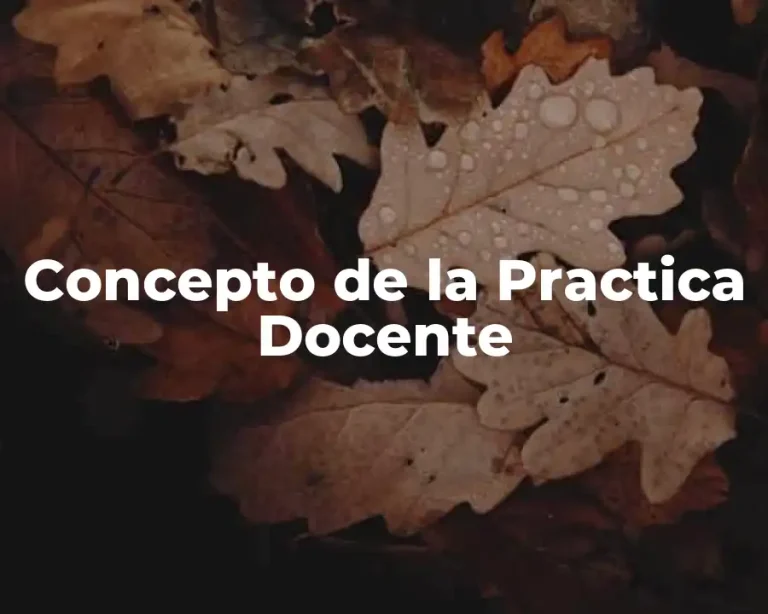 Concepto de la Practica Docente