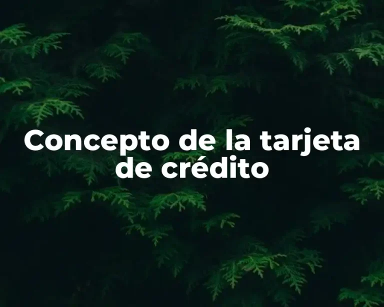 Concepto de la tarjeta de crédito