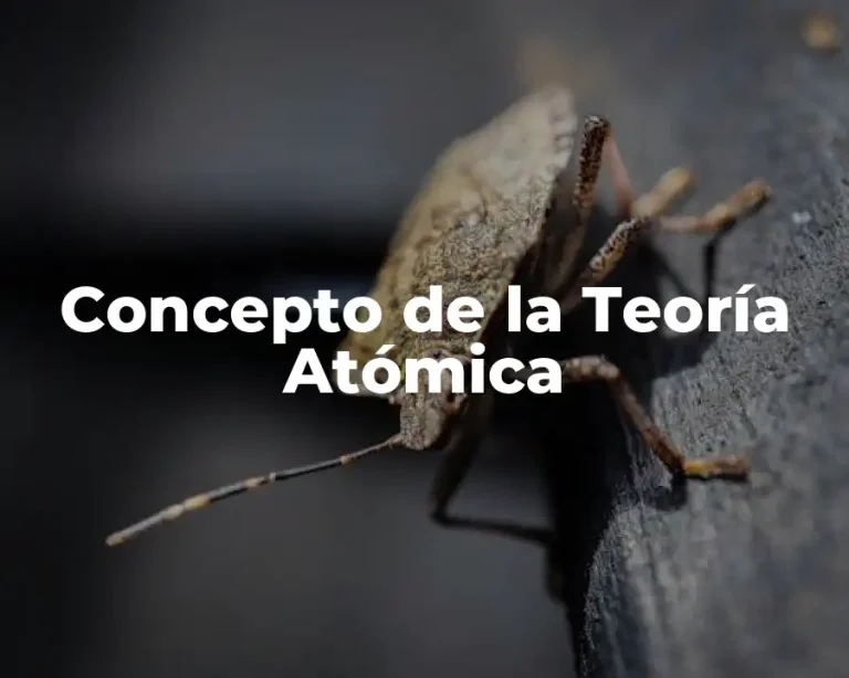 Concepto de la Teoría Atómica