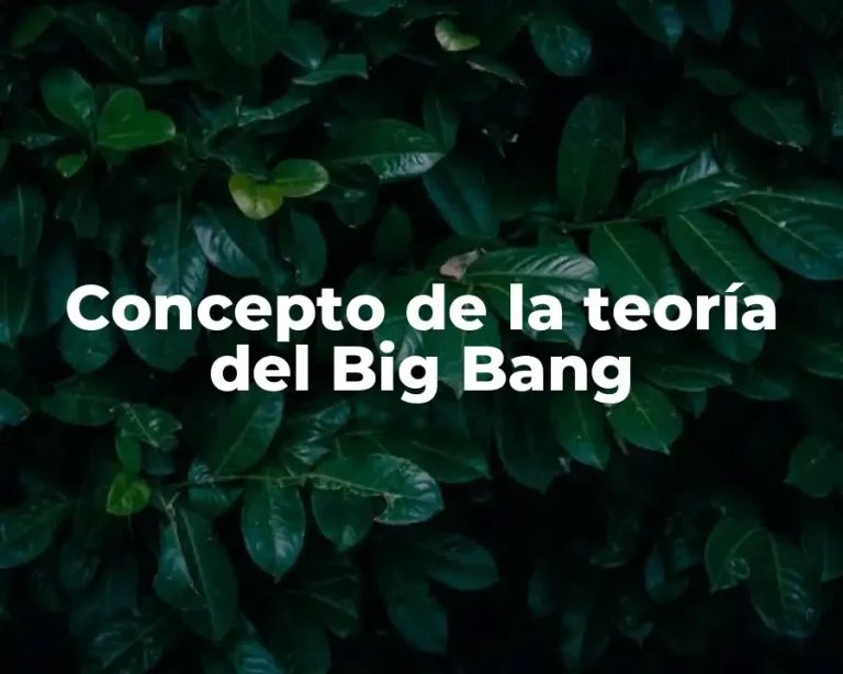 Concepto de la teoría del Big Bang