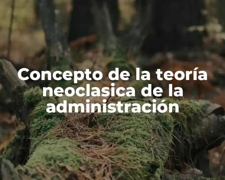 Concepto de la teoría neoclasica de la administración