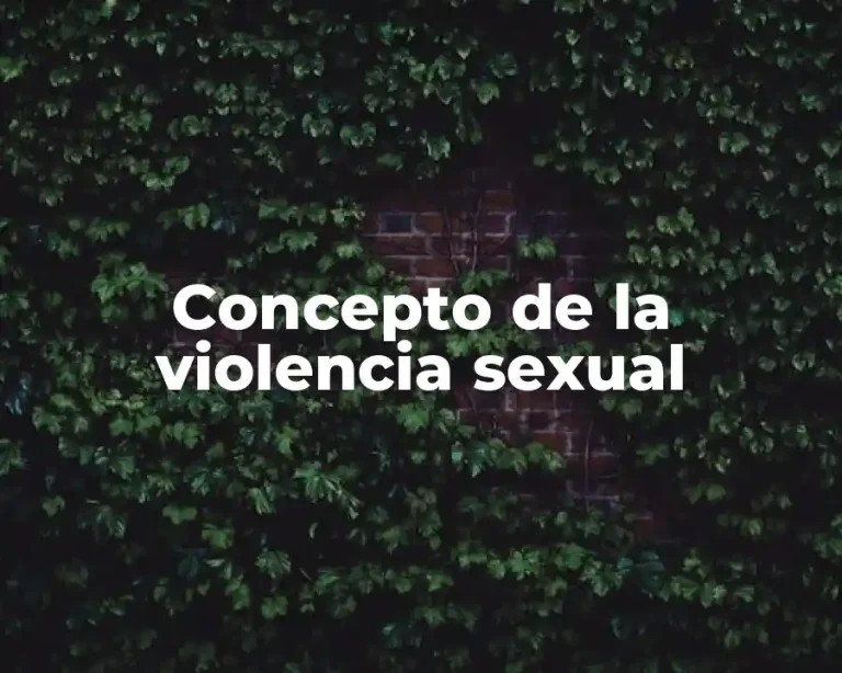 Concepto de la violencia sexual