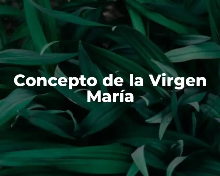 Concepto de la Virgen María