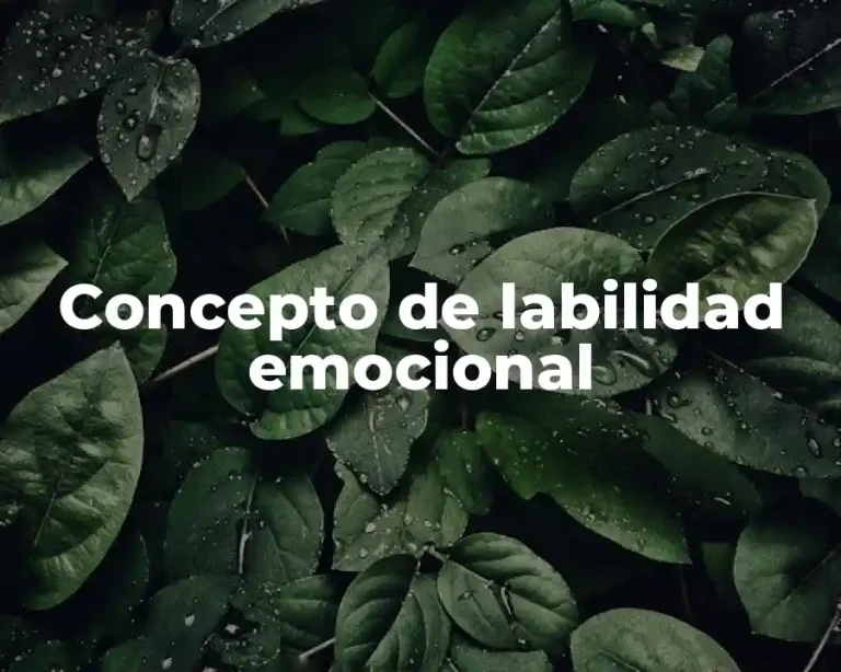 Concepto de labilidad emocional