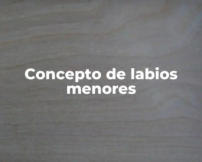 Concepto de labios menores