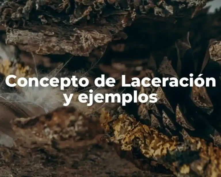 Concepto de Laceración y ejemplos