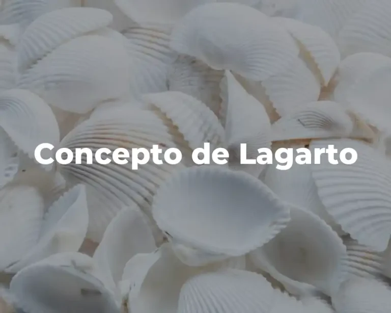 Concepto de Lagarto