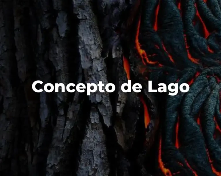 Concepto de Lago