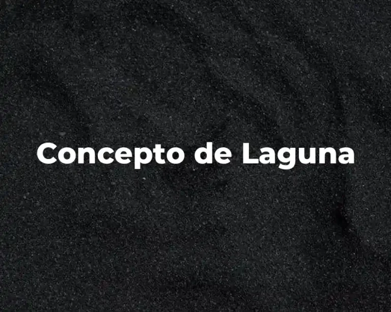 Concepto de Laguna