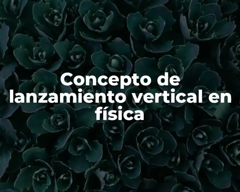Concepto de lanzamiento vertical en física