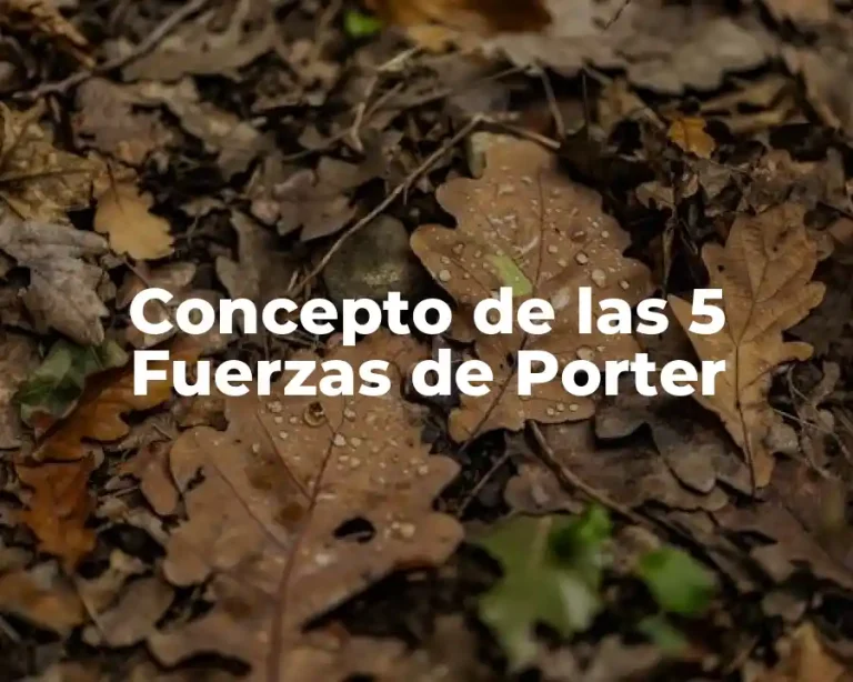 Concepto de las 5 Fuerzas de Porter