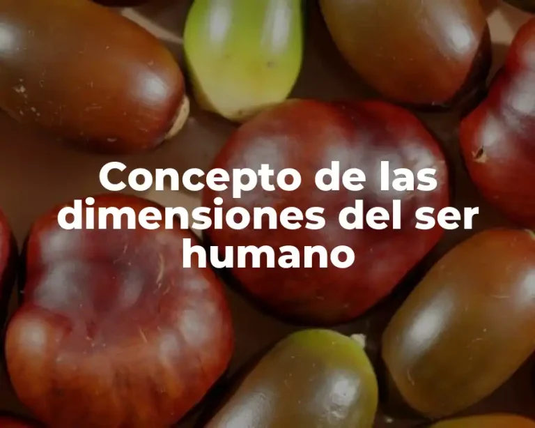 Concepto de las dimensiones del ser humano